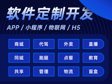 湛江網(wǎng)頁設(shè)計與軟件開發(fā) 雙輪驅(qū)動本地企業(yè)數(shù)字化轉(zhuǎn)型