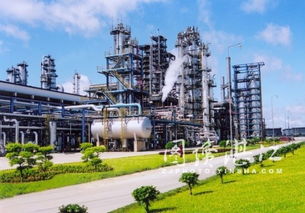 雙星輝映 湛江東興煉油廠的榮譽篇章與軟件開發(fā)的創(chuàng)新活力